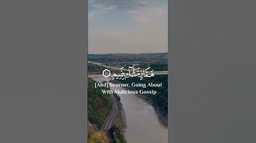 فلا تطع المكذبين #راحة_نفسية #تلاوة