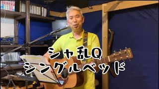 シングルベッド／シャ乱Q ギター弾き語りcover