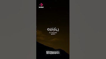 خشوع لا يوصف… تلاوة نادرة بصوت المنشاوي تهز القلوب وتُدمع العيون