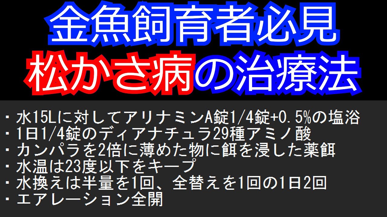 松かさ病の治療法 Youtube