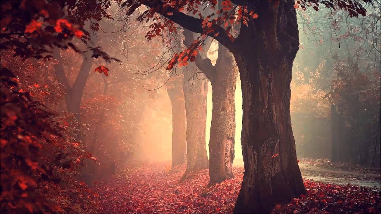 Modest Intentions Cold Autumn YouTube Modest Intentions Cold Autumn YouTube