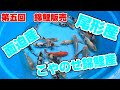 【第五回販売】厳選22匹‼️安くて良い鯉をお届けします✨早い者勝ち!