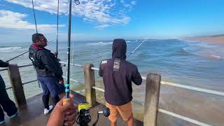 Shad, Salmon and SCREAMING reels | Ultra Light night fishing Durban