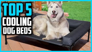 ✅ The 5 Best Cooling Dog Beds in 2026