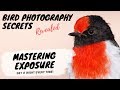 MASTERING EXPOSURE - Get it right EVERY time! - Bird Photography Secrets Revealed  - Jan Wegener