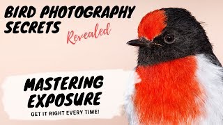 MASTERING EXPOSURE  Get it right EVERY time!  Bird Photography Secrets Revealed   Jan Wegener
