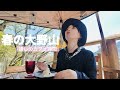 春の大野山ソロ登山｜富士山と花と、癒しのカフェでひとやすみ