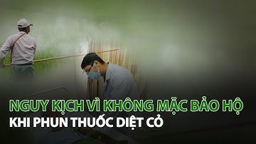 Nguy kịch vì không mặc bảo hộ khi phun Thuốc Diệt Cỏ| VTC14