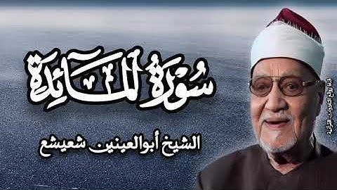 سورة المائدة (١٠٩-١٢٠) - الشيخ أبوالعينين شعيشع رحمه الله