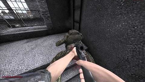 DayZ great hacker kill