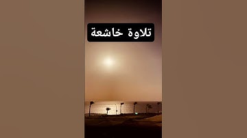 #القرآن_الكريم #قرآن #تلاوة_خاشعة #القارئ . #اكسبلور #المصحف #لايك #explore #fyp #trending #tiktok