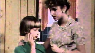 The Perkins Family - MOZART DIED AT 18