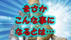 2ちゃんねる 笑える話 長編 短編 妄想系 2ch Youtube 2ちゃんねる 笑える話 長編 短編 妄想系 2ch Youtube