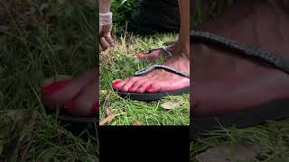 My Sweaty Feet in Black Flip Flops Casual Foot Play #shorts