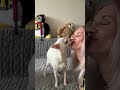 Kissing my dog