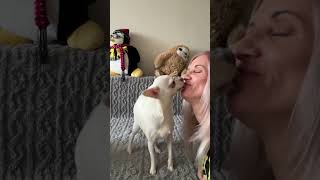 Kissing my dog