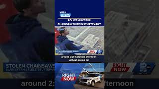 Chainsaw Theft Manhunt