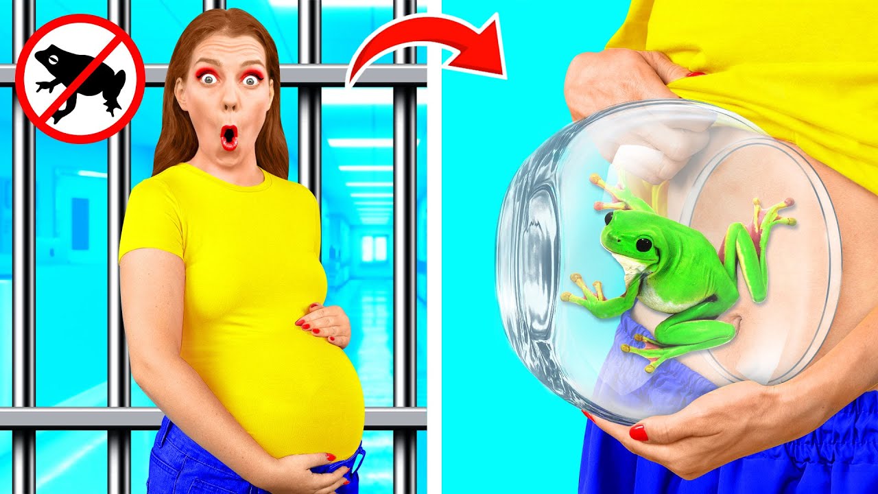 طرق مضحكة لتسلل الحيوانات الأليفة إلى المستشفى | مقالب وحيل رائعة Fun Teen Challenge