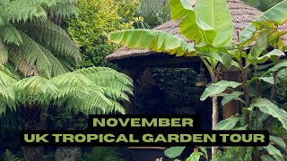 U.K. Tropical Garden November Tour. New planting ideas.