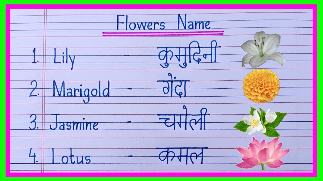 flowers name in english and hindi फूलों के नाम flowers name phoolon ke naam YouTube