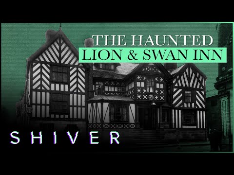 UNVEILING THE SPIRITS: GHOST CASES | SHIVER