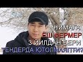 ЖИЗЗАХЛИК ЁШ ФЕРМЕР НИМАГА 3 ЙИЛДАН БЕРИ ТЕНДЕРДА ЮТОЛМАЙДИ?