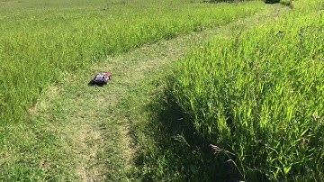 Traxxas Rustler VXL vs. Slash 8.4V in the grass