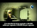Kishk Albert Einstein الشيخ عبد الحميد كشك 