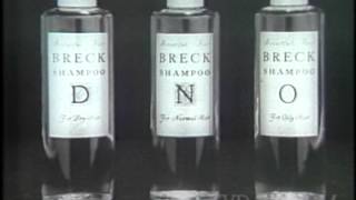 BRECK SHAMPOO