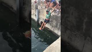 Recoge Pelota Muelle