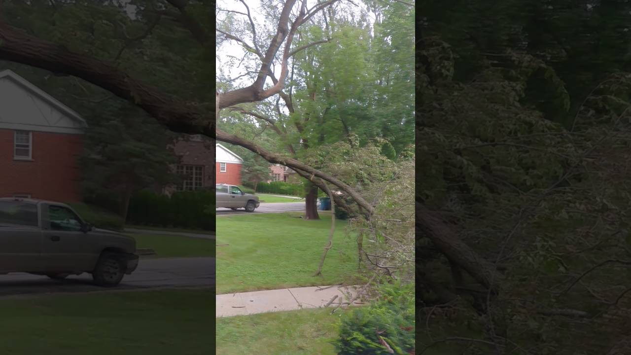Tree branch barely misses house from storm