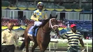 Thoroughbred Week for May19, 2012