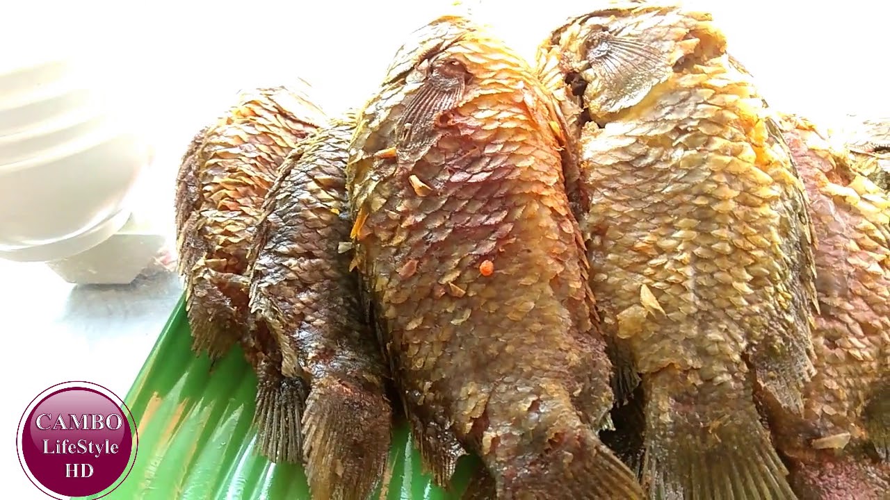 Cambo Lifestyle HD See food