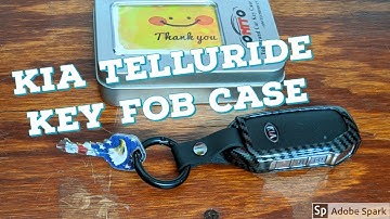 2020 Kia Telluride Key Fob Case