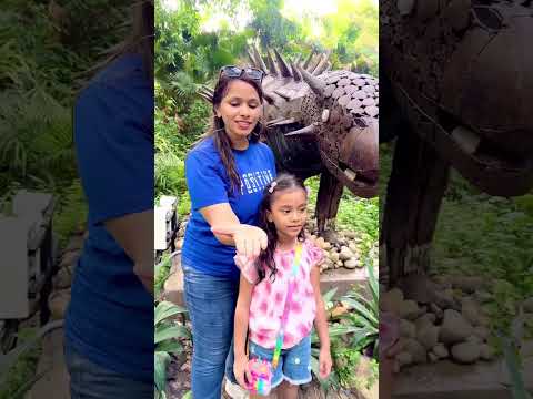 amaira new video