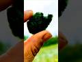 #rockhounding #serpentine #rocks #prospecting #gemstone