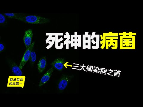 死神的病菌：《國際衛生條例》因它而生，號稱死神的鐮刀，但突然被人類發現軟肋，所以，面對病菌，我們該如何壓制它們的軟肋？|自說自話的總裁