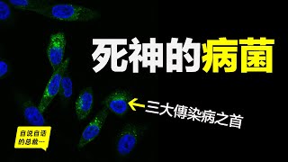 死神的病菌《國際衛生條例》因它而生號稱死神的鐮刀但突然被人類發現軟肋所以面對病菌我們該如何壓制它們的軟肋|自說自話的總裁