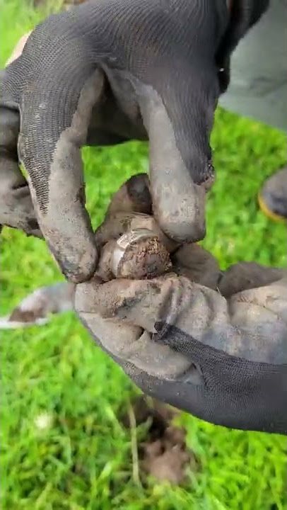 Metal detecting 💍 RING