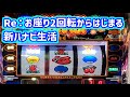 カピバラくん　Re：お座り2回転からはじまる新ハナビ生活　新ハナビ＃