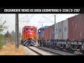 Cruzamiento de trenes de carga D-2350 Tren 50010 y D-2357 Tren Quinta