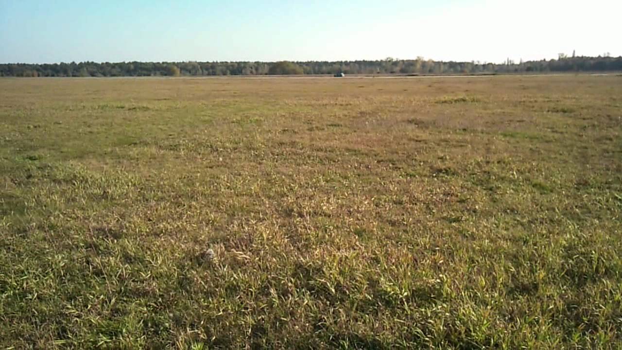 Поле в новосибирске. Гоголя 223 новосибирск футбольное поле. Поле в новосибирске. Поле в новосибирске. Поле в новосибирске.