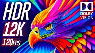 Amazing Colourfully 12k HDR 60fps Dolby Vision