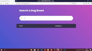 HTTP accept header injection + XSS in JSON API #XSSCHALLANGE