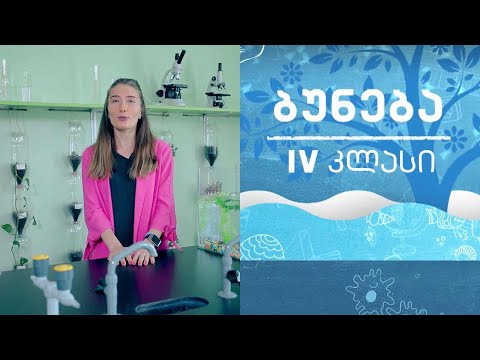 ბუნება, IV კლასი - წყლის მნიშვნელობა; როგორ ვხარჯავთ წყალს #ტელესკოლა