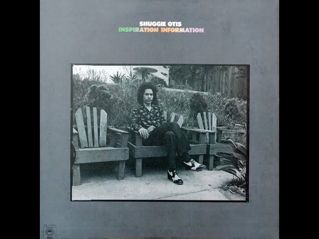 洋楽 Shuggie Otis Inspiration Information LP Amazon.com: Inspiration Information: CDs & Vinyl