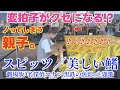 ［ストリートピアノ］変拍子がクセになる！？コナンの最新映画の主題歌､スピッツ／美しい鰭 を弾いてみた｡［名探偵コナン黒鉄の魚影］:w32:h24