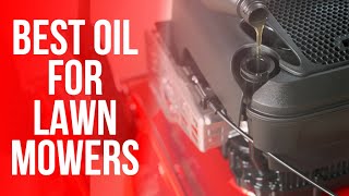 Best Oil For Lawn Mowers: Ultimate Guide (Our Best List)