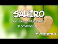 SAHIRO MIX ..Exitos Musicales Románticos...FV PRODUCCIONES HD FILMS.