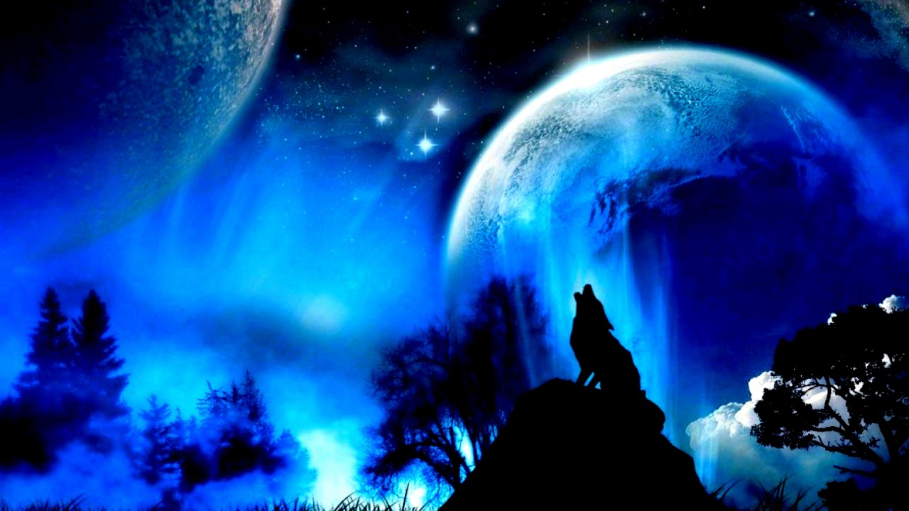 Фанфик/Вигуки / история любви волков 1 эпизод